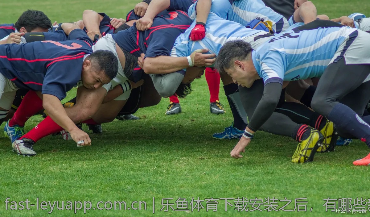 乐鱼体育app用户如何避开常见陷阱？