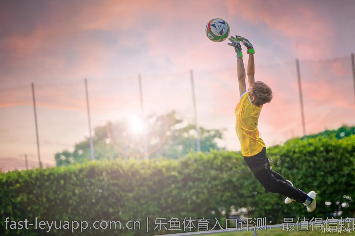 乐鱼体育入口使用技巧，大幅提升游戏乐趣