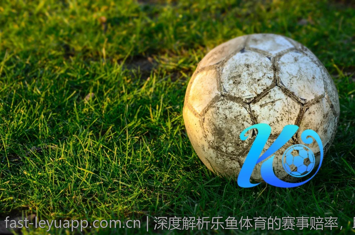 深度解析乐鱼体育的赛事赔率，助你赢在起点