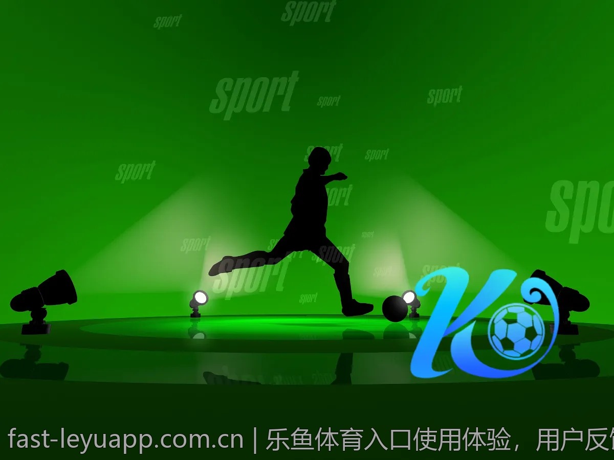 乐鱼体育入口使用体验，用户反馈全记录