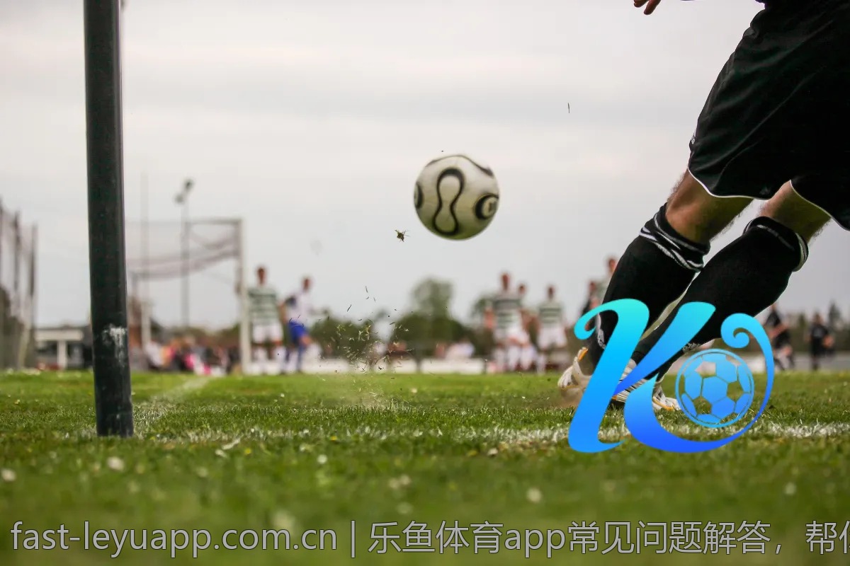 乐鱼体育app常见问题解答，帮你解决使用困扰