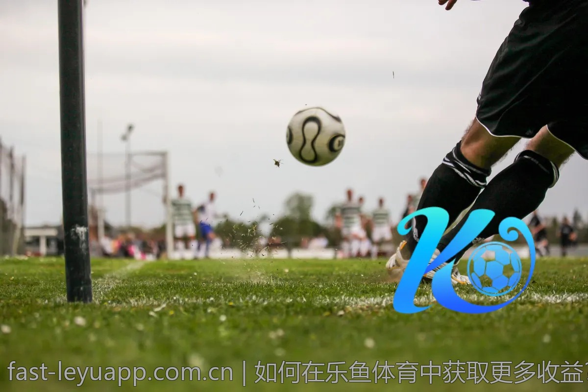 如何在乐鱼体育中获取更多收益？